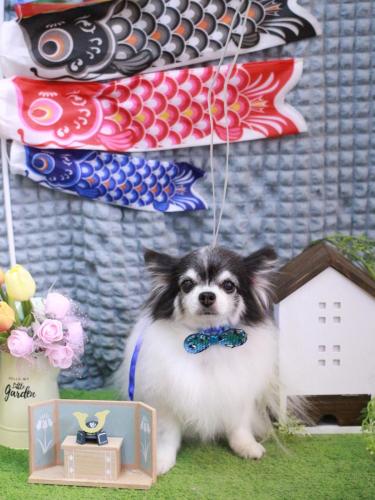 20230510ミルクくん